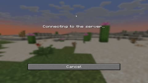 I JOIN SECRET SERVER IN MINECRAFT