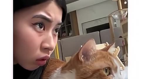 Share interest with your cat