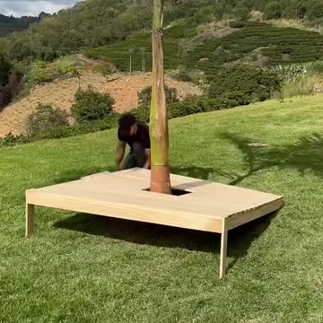 Look at the genius idea he had with this tree that was middle of the backyard