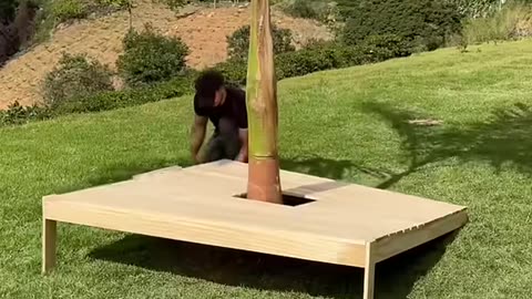 Look at the genius idea he had with this tree that was middle of the backyard