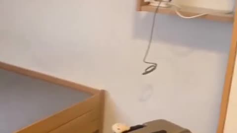 Welcome To University In Germany