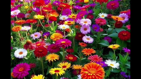 অসাধারণ একটা দৃশ্য দেখার মতো