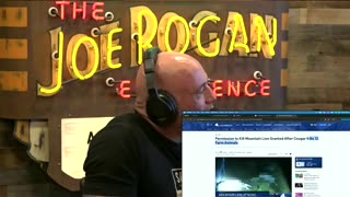 Mountain Lion Alpaca Massacre - Andrew Santino and Joe Rogan
