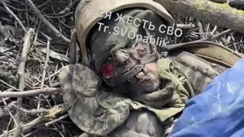 Ukraine war combat footage 10/11/25