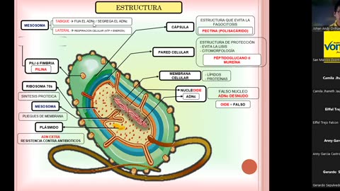 VONEX SEMIANUAL 2023 | Semana 04 | Biología