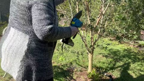 The Handheld Chainsaw That Makes Tree Branches Disappear!