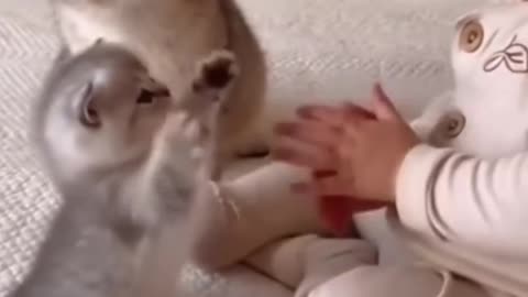 Cute Baby & Cute Cat