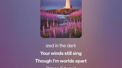 Shawn MacDonald - Island Of My Heart ( Lyric Music Video)