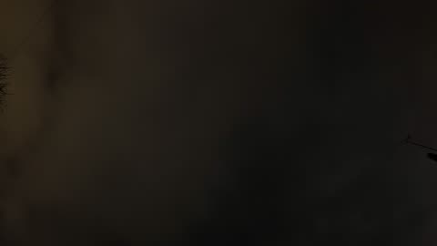 Night Sky Watch - #268 - 25/1/2026