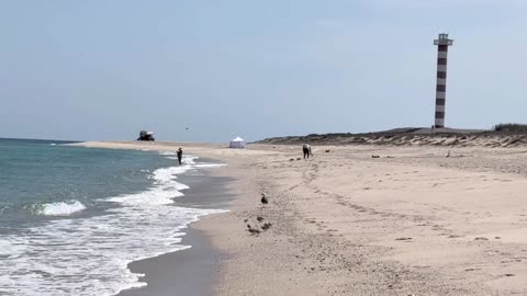 Dióxido de Cloro ¿Desinfectante milagroso o peligroso engaño La ciencia vs el mito