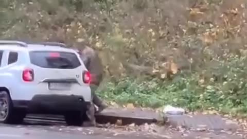 Ukraine Russia conflict /SMO/war combat footage 11/4/2025