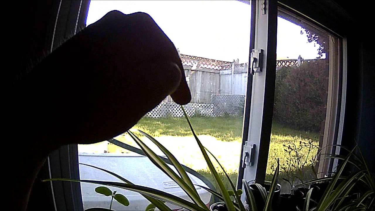 Dollar Store Survival Gear ~ Some Awesome Finds