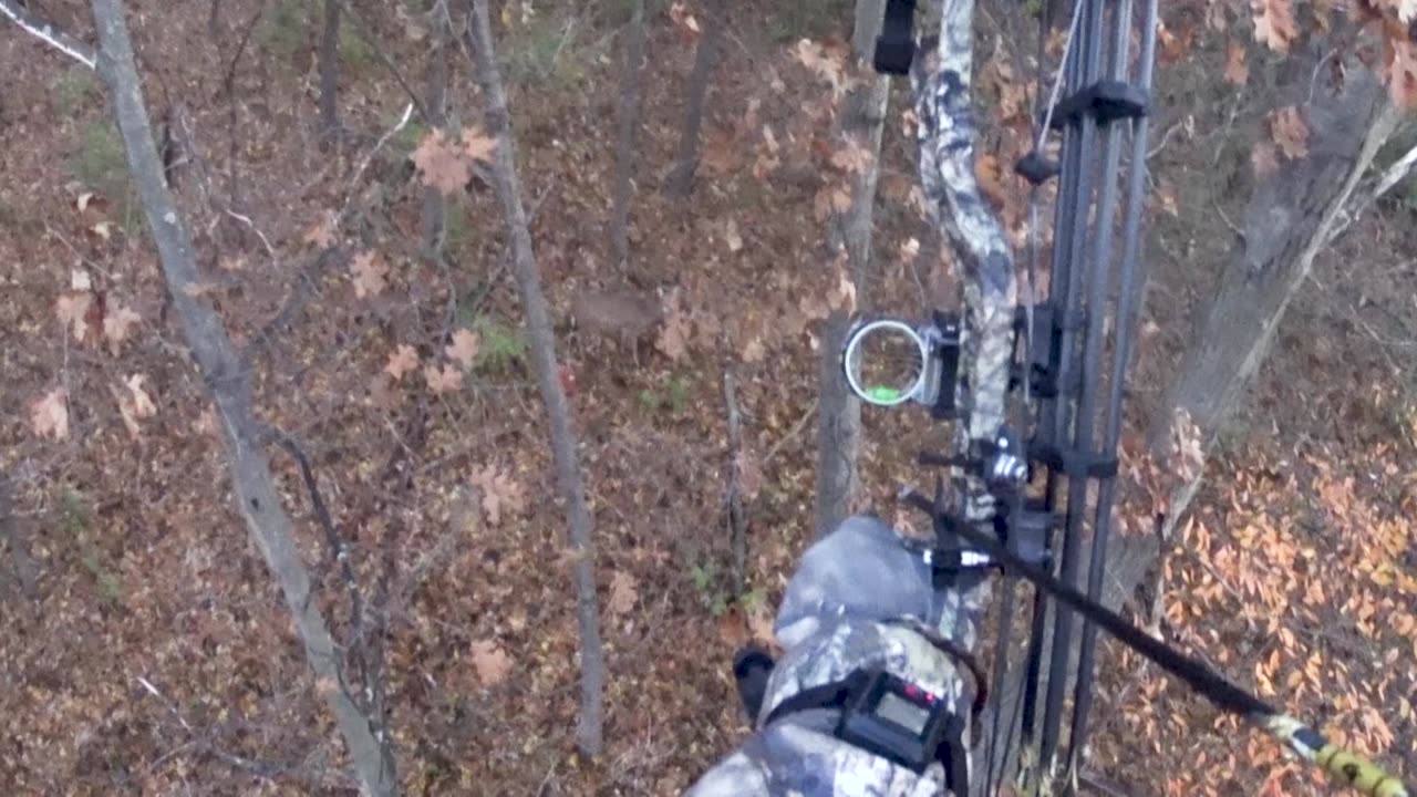 Doe down in Iowa