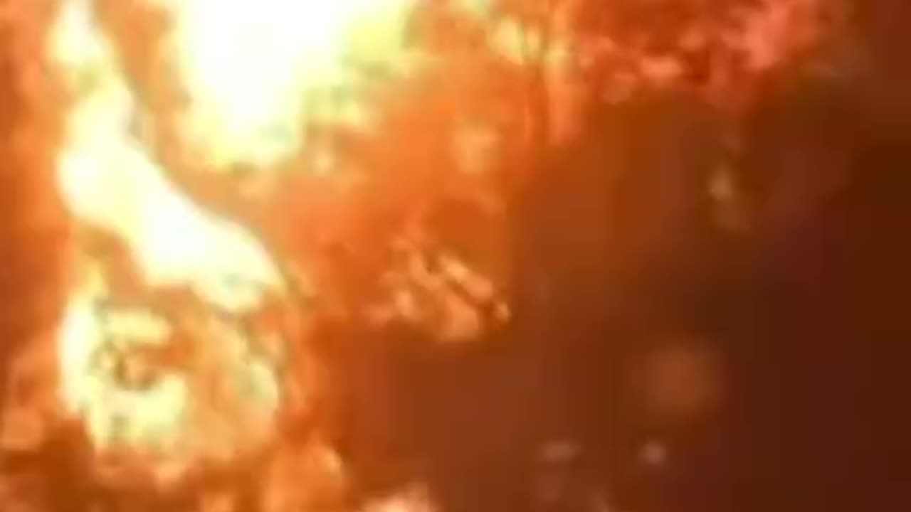 LA Fires: Casualties of War