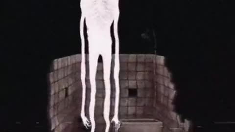 😱🤔 You Won't Believe What This Hm Means! | TheHauntingHour