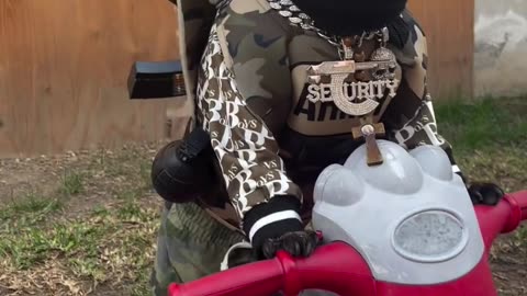 ninja warrior dog 4 