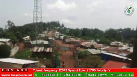 Oduu Galgala ONM-ABO Sadaasa 11-2025 itti dhiyaadhaa!