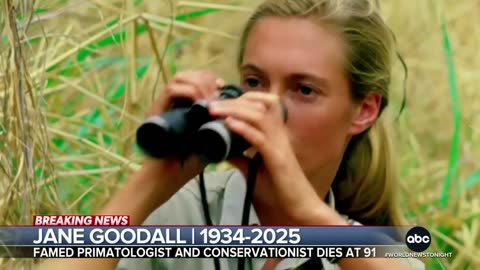 ABC World News Tonight with David