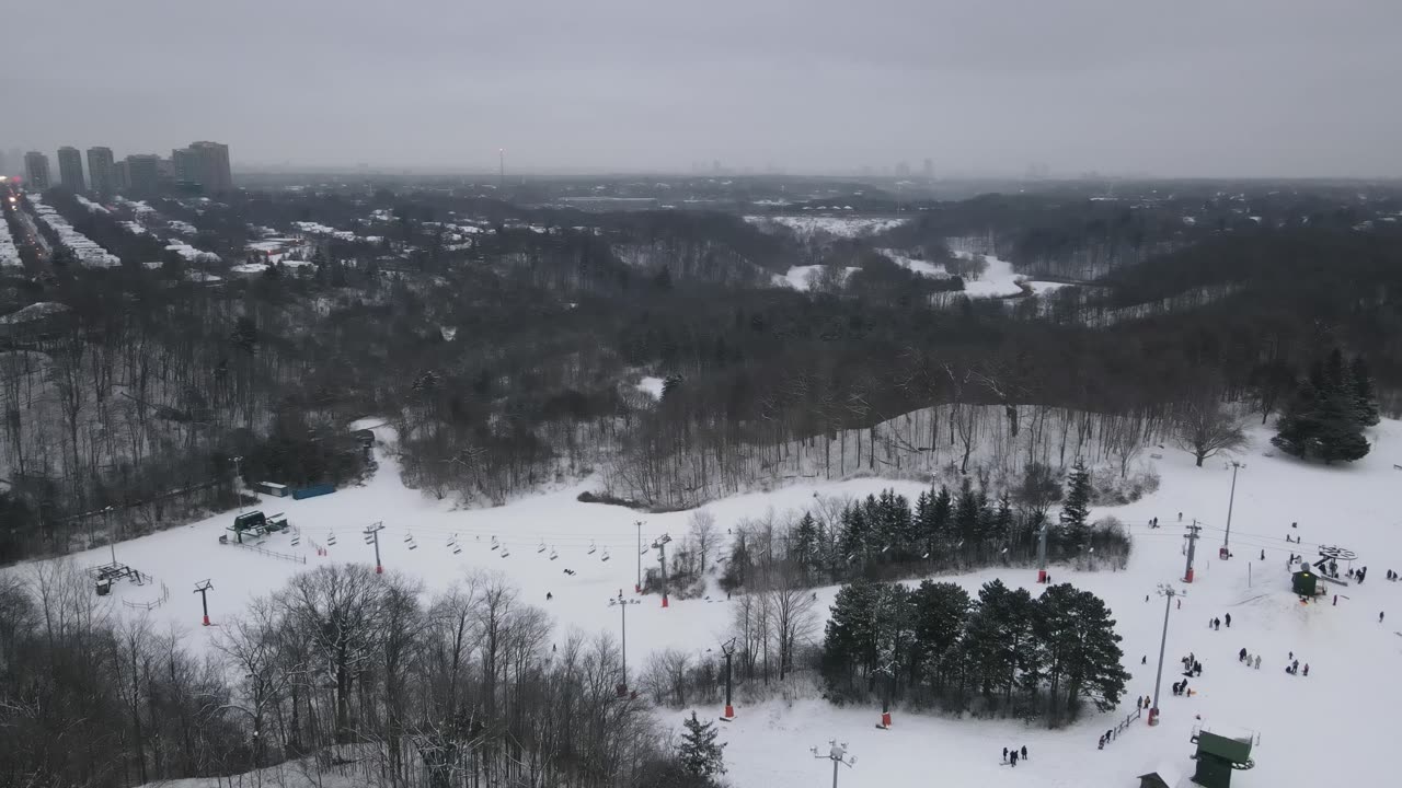 Breathtaking 4K View of Snowy Forest in Toronto #nature #drone