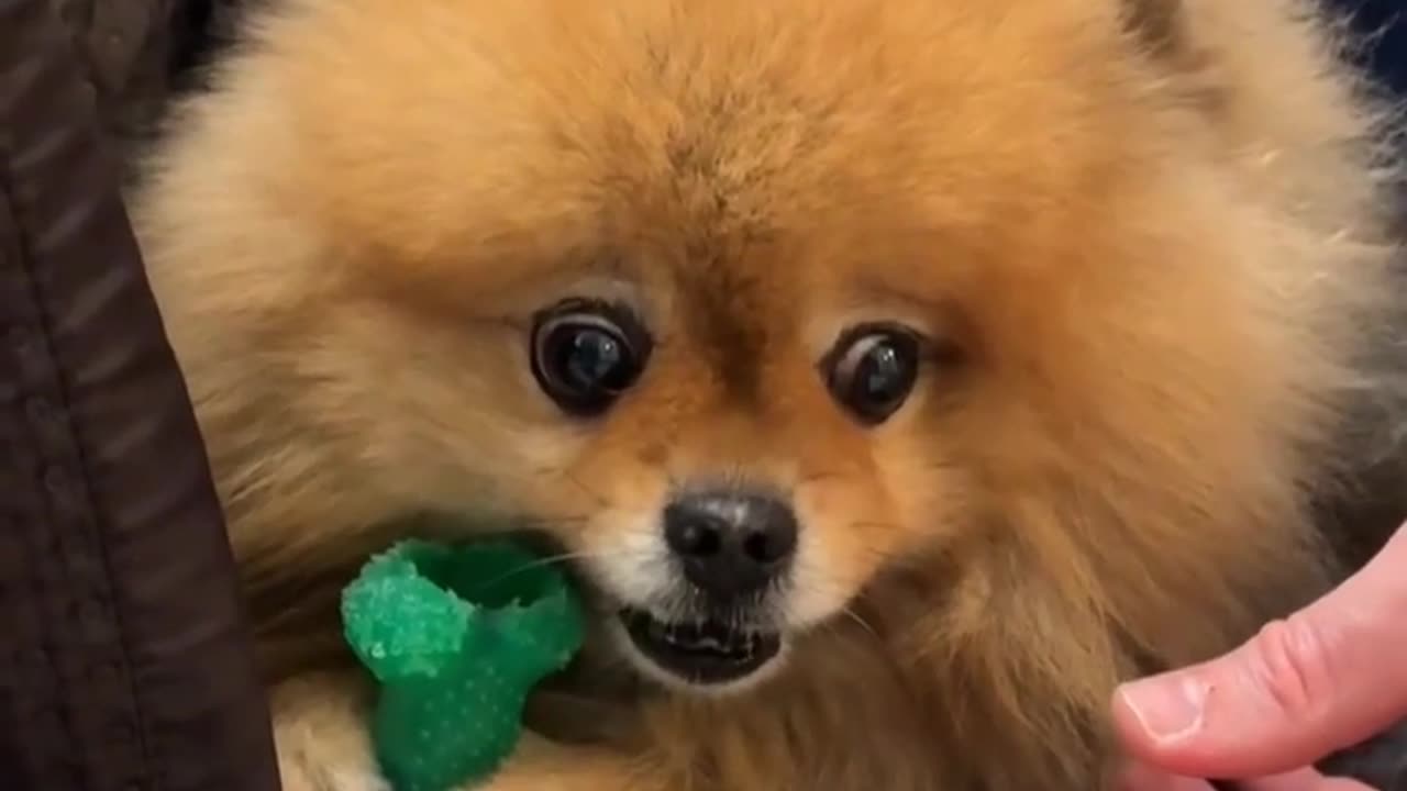 🤯 The Engine Is Running... but NOT Where You Expect! | FunFM