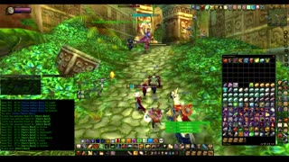 Turtle Wow - PUG ZG run - paladin POV
