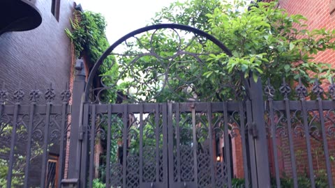 Sniffen Court 2 (Manhattan, 2019)