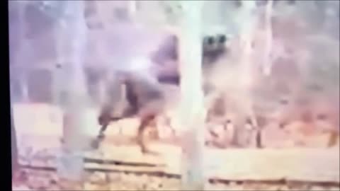 Une mystérieuse sculpture apparaît près de la route de Joshua Tree, au Nevada.