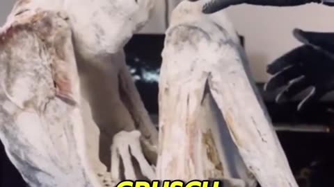 👽🏛️ David Grusch Connects Nazca Beings to Secret Settings! | TheTruthAbove