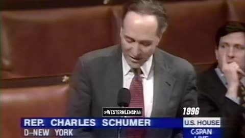 Chuck Schumer rails against illegals getting taxpayer funded benefits