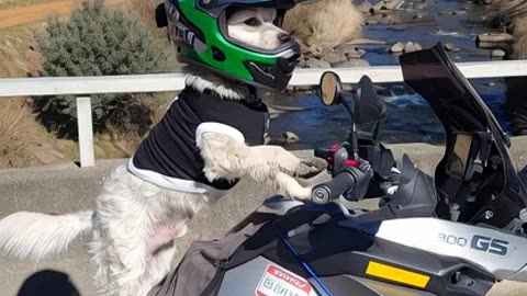 time to go .....................