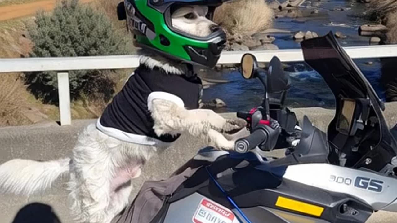 time to go .....................