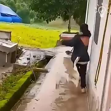 Little ones & ducklings