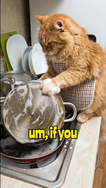 Cat Does Dishes! #cat #ai #viral