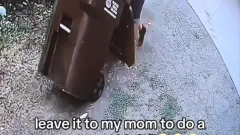 🗑️ Jewelssbee