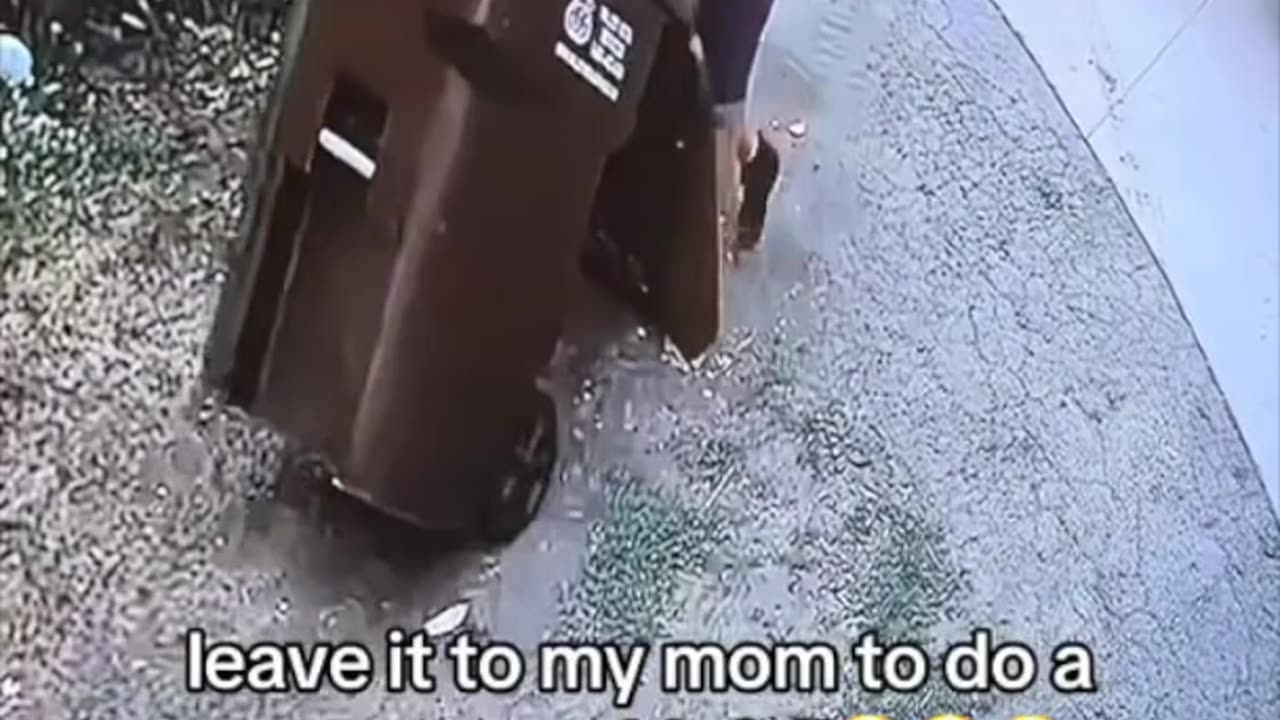 🗑️ Jewelssbee
