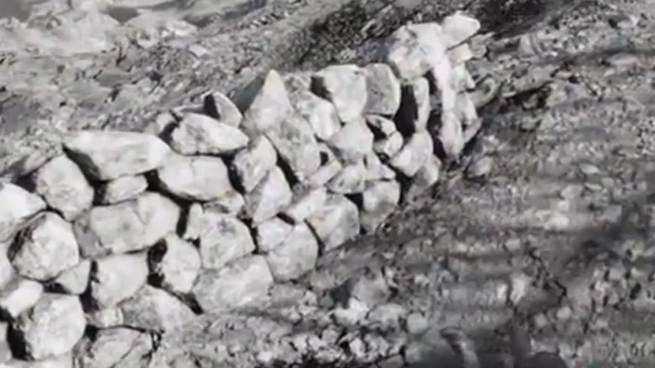 He Wasn't Even Aiming At Me