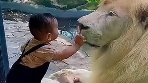 Animal lover cute baby