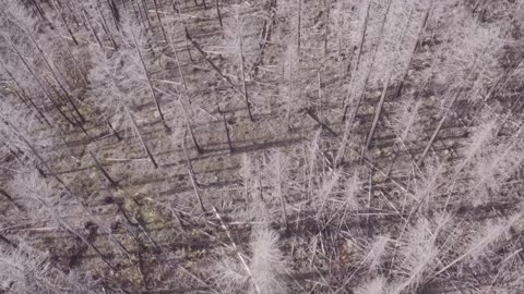 first search for Devon 11-9