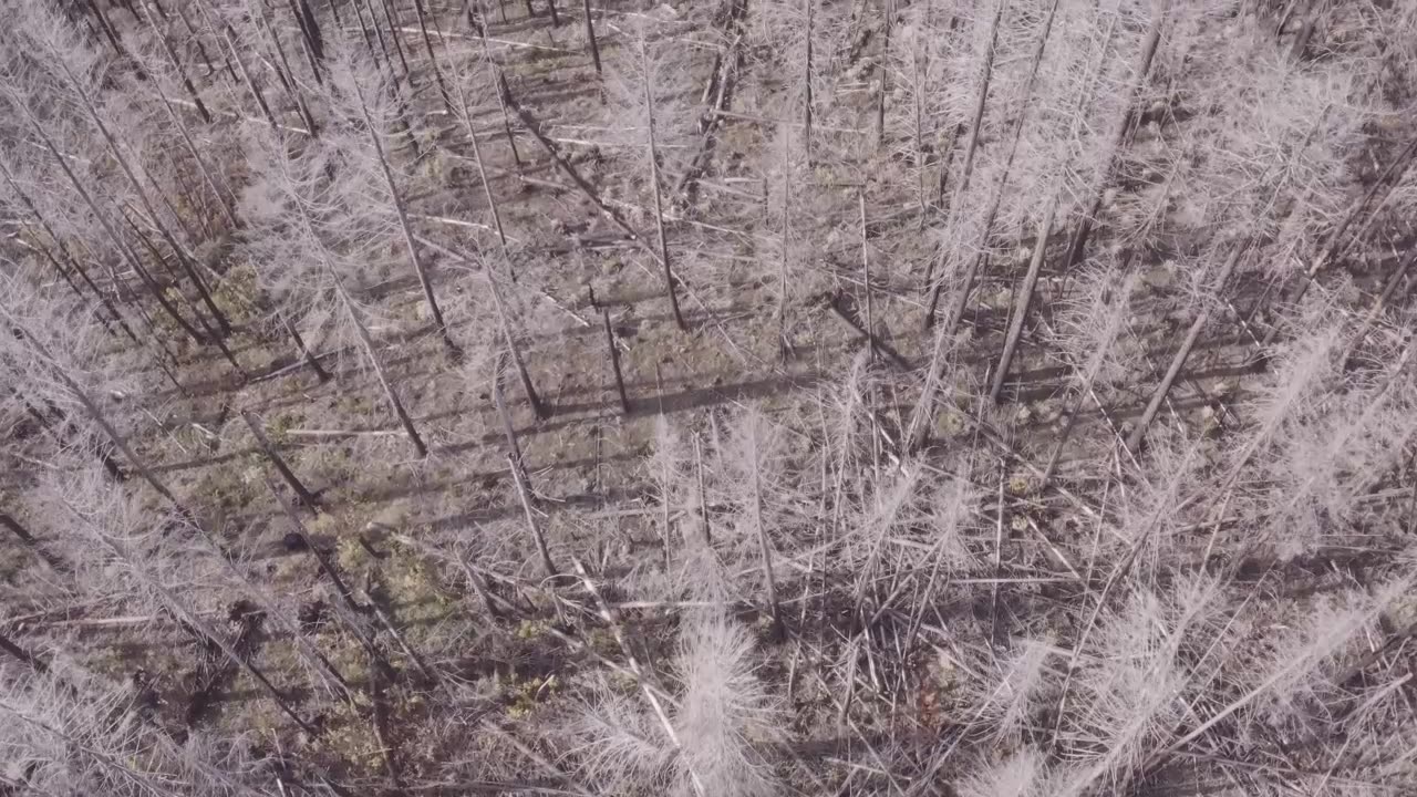 first search for Devon 11-9