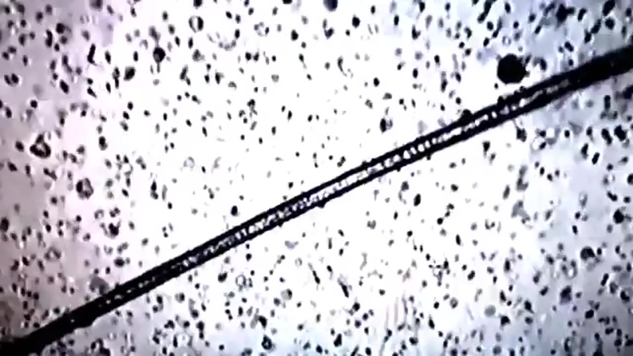 NANOBOTS FOUND IN SPERM 2 YEARS AFTER VAXX