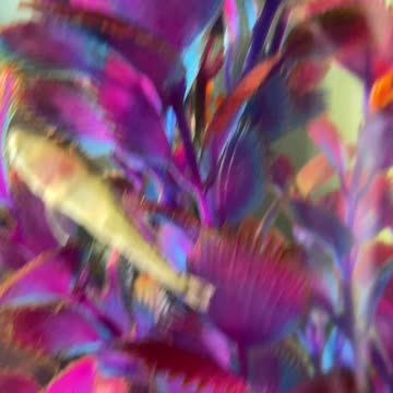 Say hello to our tiny new friends