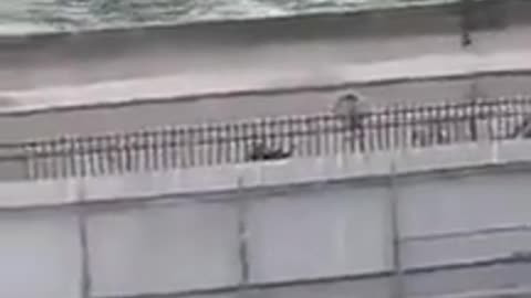 😮🔐 Watch Thieves Steal 100 Million Euros from The Louvre — Slow & Calculated! | FeedMyCuriosity
