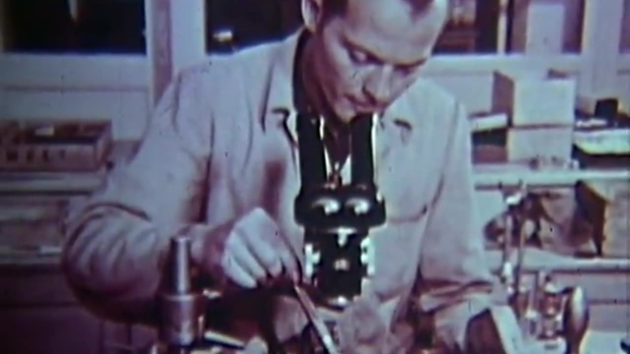 Germany - Germany - gov.archives.arc.650641