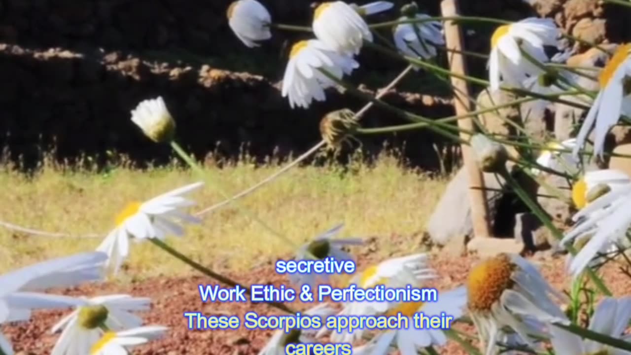 28 October Your Special Personal Birthday Meaning