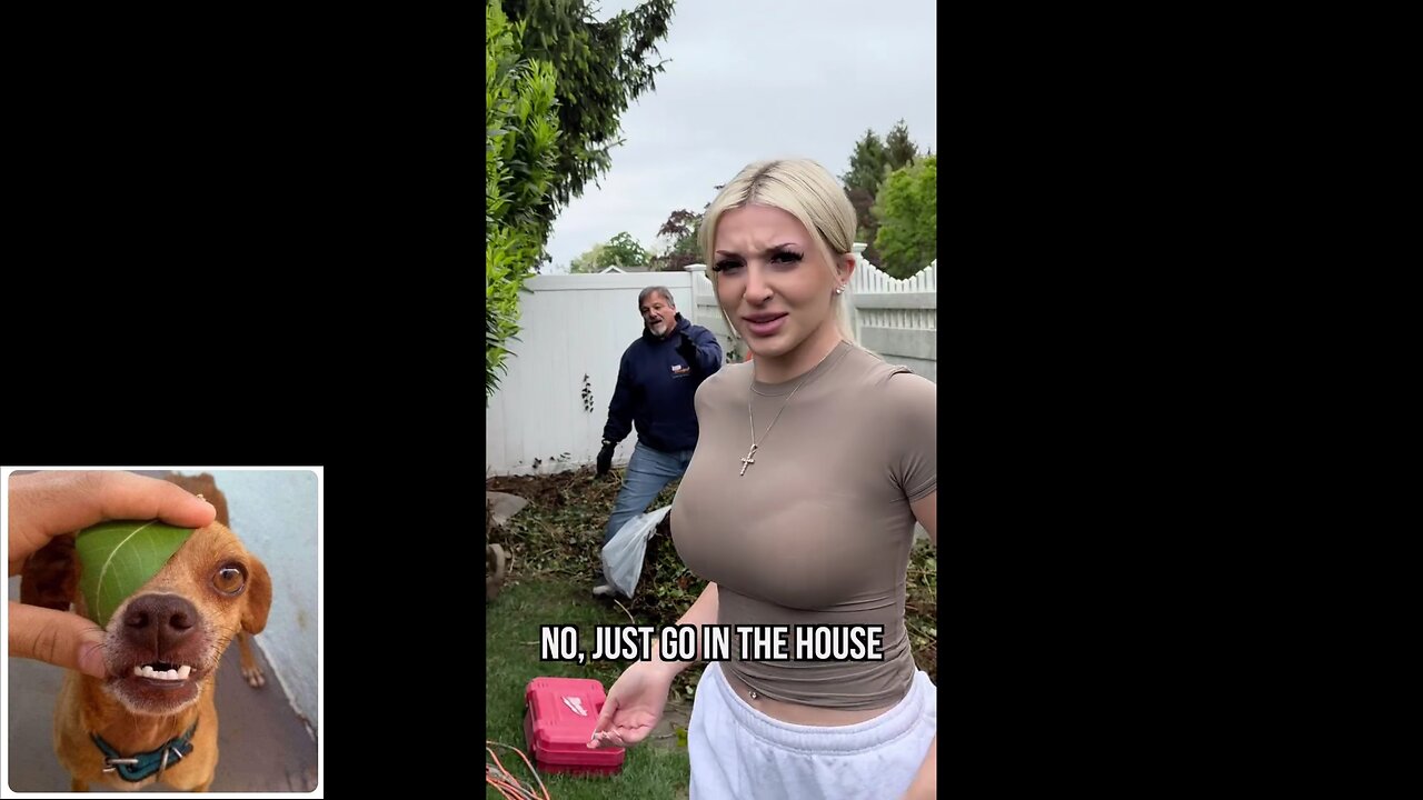 Funny videos compilation 47