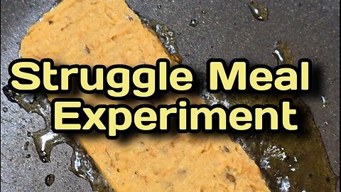 Mayocoba Bean Burmese Tofu {A Struggle Meal Fake Meat Experiment}