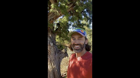 Tree Telepathy Experiment: Juniper Tree in Sedona - Biophotons, Personal Insights #treemagic