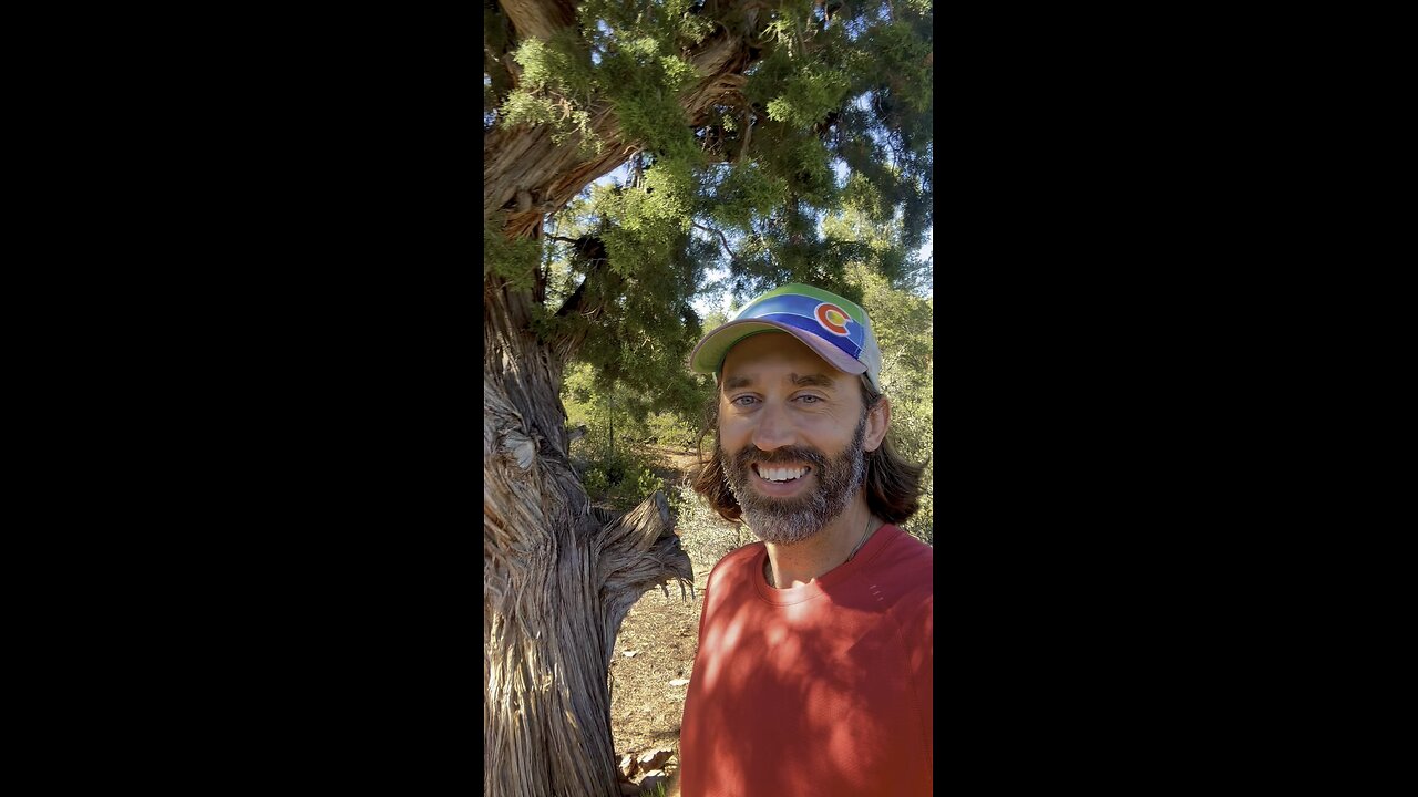 Tree Telepathy Experiment: Juniper Tree in Sedona - Biophotons, Personal Insights #treemagic