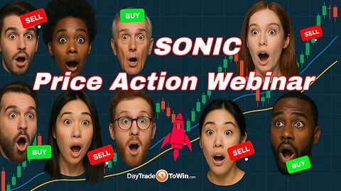Live Price Action System Reviewed - For Serious Traders Ninja Trader and TradingView