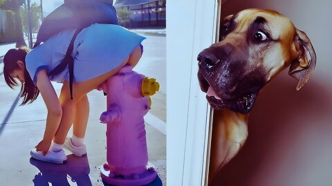 World’s Funniest Animals 🤣 | Try Not to Laugh